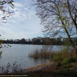 Jezioro Lubie - jezioro lubie 7