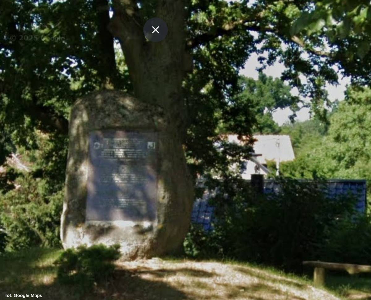 Pomnik lotników amerykańskich we wsi Bucze - pomnik lotnikow amerykanskich we wsi bucze 1