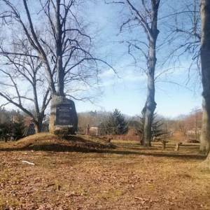 Pomnik lotników amerykańskich we wsi Bucze - pomnik lotnikow amerykanskich we wsi bucze 5