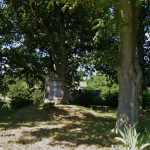 Pomnik lotników amerykańskich we wsi Bucze - pomnik lotnikow amerykanskich we wsi bucze 7