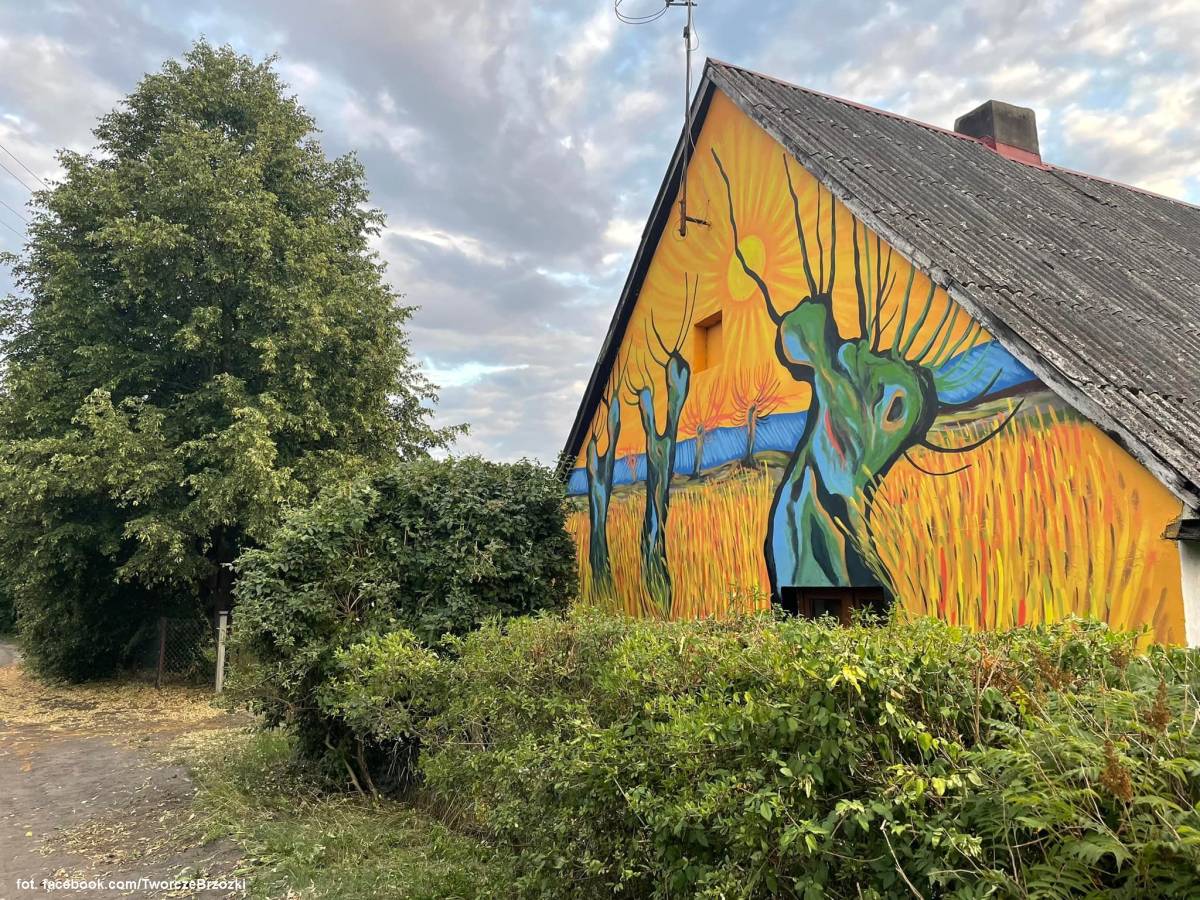 Artystyczna wieś Brzózki - artystyczna wies brzozki 1