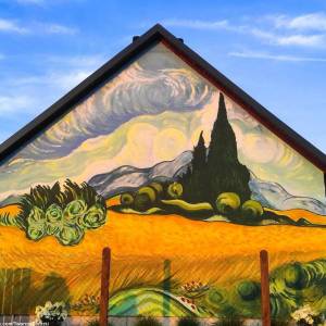 Artystyczna wieś Brzózki - artystyczna wies brzozki 13