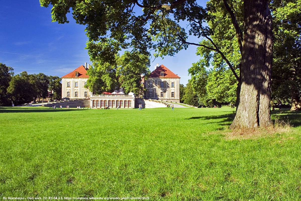 Zespół pałacowo-parkowy w Żaganiu - zespol palacowo parkowy w zaganiu 12