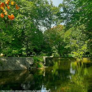Zespół pałacowo-parkowy w Żaganiu - zespol palacowo parkowy w zaganiu 8