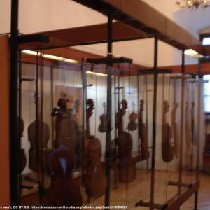 Muzeum Ludowych Instrumentów Muzycznych w Szydłowcu - muzeum ludowych instrumentow muzycznych w szydlowcu 1