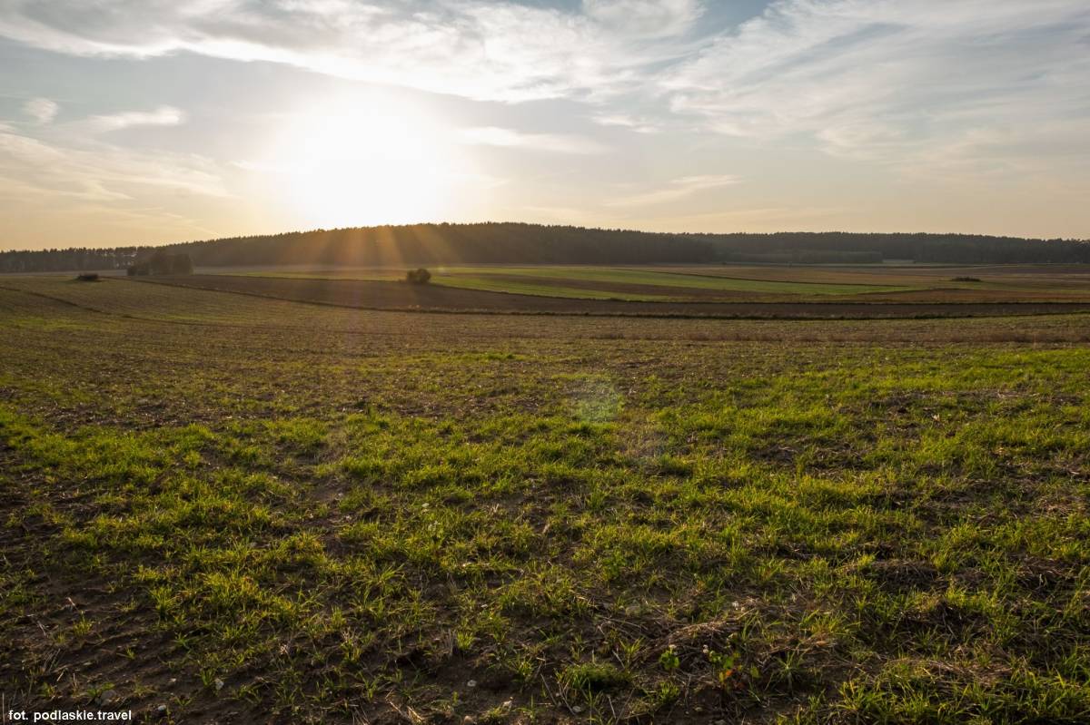 Wzgórza Sokólskie - wzgorza sokolskie 6