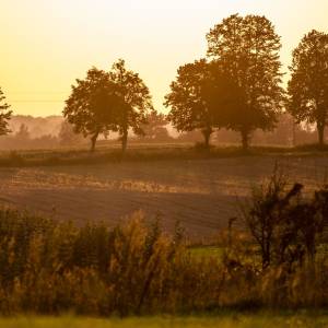 Wzgórza Sokólskie - wzgorza sokolskie 1