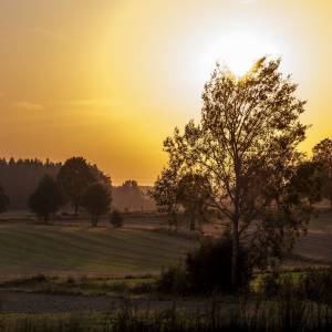 Wzgórza Sokólskie - wzgorza sokolskie 2