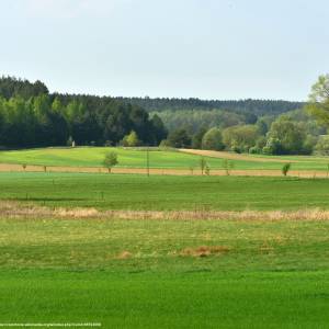 Wzgórza Sokólskie - wzgorza sokolskie 5