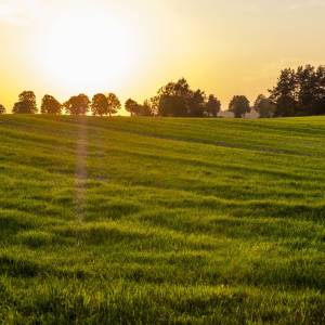 Wzgórza Sokólskie - wzgorza sokolskie 7