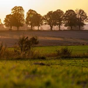 Wzgórza Sokólskie - wzgorza sokolskie 8