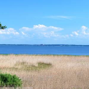 Mierzeja Wiślana - mierzeja wislana 11