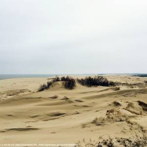 Mierzeja Wiślana - mierzeja wislana 3