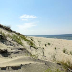 Mierzeja Wiślana - mierzeja wislana 7