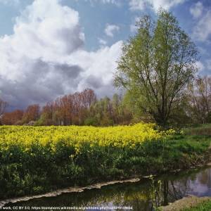 Żuławy Wiślane - zulawy wislane 2