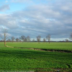 Żuławy Wiślane - zulawy wislane 4