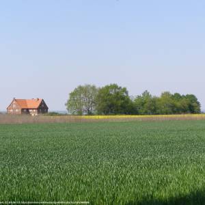 Żuławy Wiślane - zulawy wislane 6