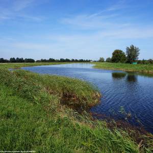 Żuławy Wiślane - zulawy wislane 9