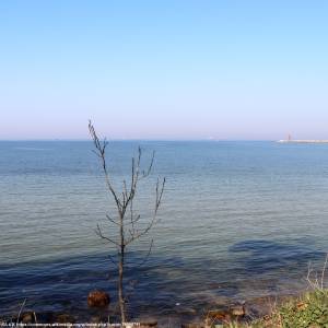 Zatoka Gdańska - zatoka gdanska 6