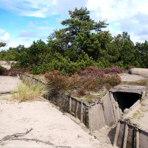 Mierzeja Helska (Półwysep Helski) - mierzeja helska polwysep helski 5