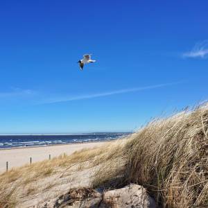 Morze Bałtyckie - morze baltyckie 13