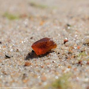 Morze Bałtyckie - morze baltyckie 3