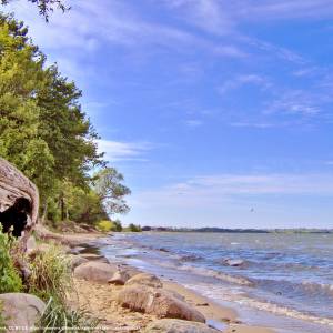 Zatoka Pucka - zatoka pucka 13