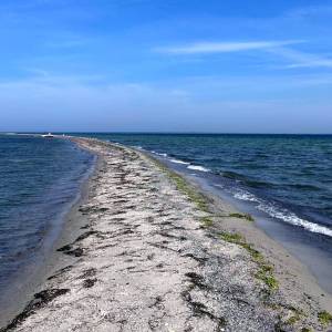 Rybitwia Mielizna - rybitwia mielizna 1