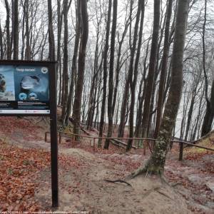 Rezerwat przyrody Przylądek Rozewski - rezerwat przyrody przyladek rozewski 3