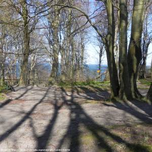 Rezerwat przyrody Przylądek Rozewski - rezerwat przyrody przyladek rozewski 4