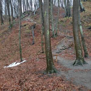 Rezerwat przyrody Przylądek Rozewski - rezerwat przyrody przyladek rozewski 7