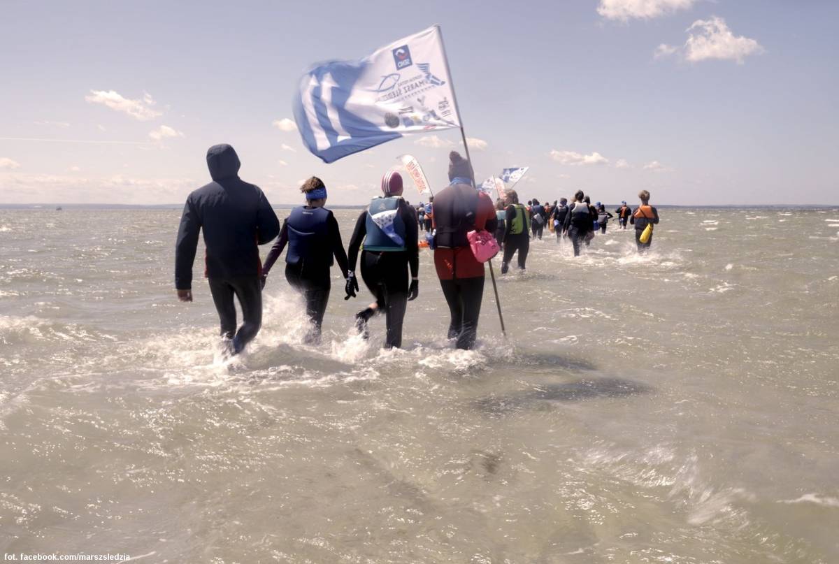 Marsz Śledzia - marsz sledzia 8