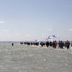 Marsz Śledzia - marsz sledzia 1