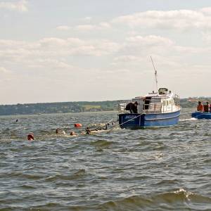 Marsz Śledzia - marsz sledzia 4