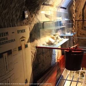 Podziemia kredowe w Chełmie - cellers in chelm 11