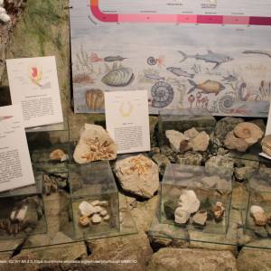 Podziemia kredowe w Chełmie - cellers in chelm 19