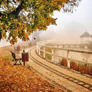 Molo w Barlinku - molo w barlinku 3