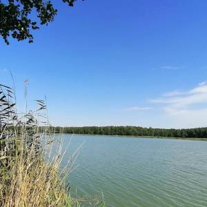 Jezioro Paklicko Wielkie - jezioro paklicko wielkie 1