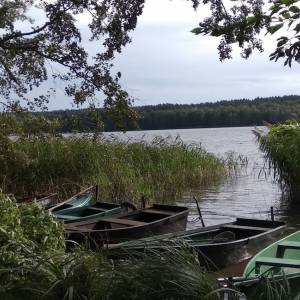 Plaża nad Jeziorem Paklicko Wielkie - plaza nad jeziorem paklicko wielkie 4