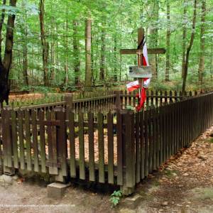 Szlak Czerwony Świętokrzyskiego Parku Narodowego - lysica groby ak owcow