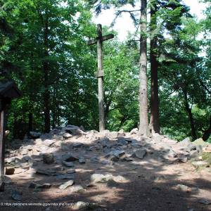 Szlak Czerwony Świętokrzyskiego Parku Narodowego - lysica szczyt 1