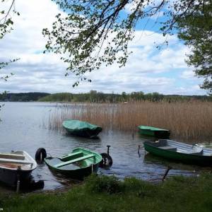 Plaża Tyczyno nad Jeziorem Niesłysz - plaza tyczyno nad jeziorem nieslysz 5