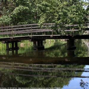 Bory Tucholskie - bory tucholskie 15