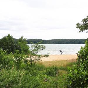 Plaża gminna Niesulice - plaza gminna niesulice 6