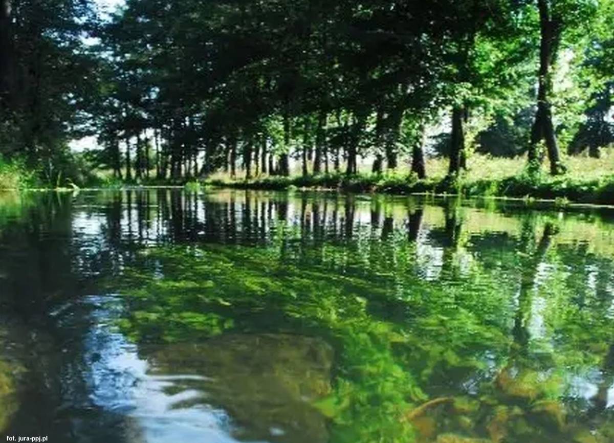 Niebieskie źródła przy Wiercicy - niebieskie zrodla przy wiercicy kopia