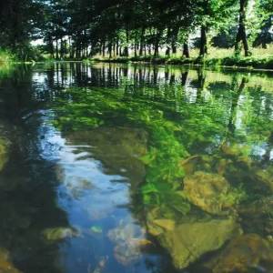 Niebieskie źródła przy Wiercicy - niebieskie zrodla przy wiercicy