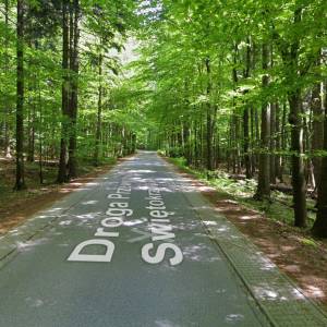 Droga Przewodników Świętokrzyskich - droga przewodnikow swietokrzyskich2