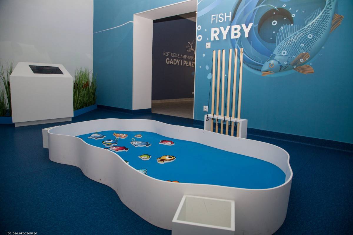 Centrum Edukacji Ekologicznej w Skoczowie - centrum edukacji ekologicznej w skoczowie 3