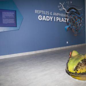 Centrum Edukacji Ekologicznej w Skoczowie - centrum edukacji ekologicznej w skoczowie 2