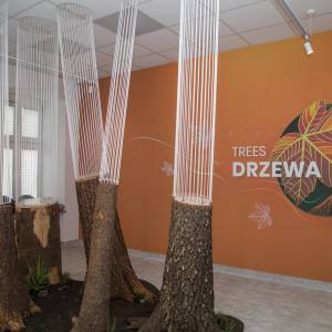 Centrum Edukacji Ekologicznej w Skoczowie - centrum edukacji ekologicznej w skoczowie 4